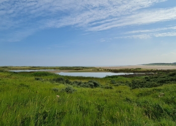 Verdronken Zwarte Polder